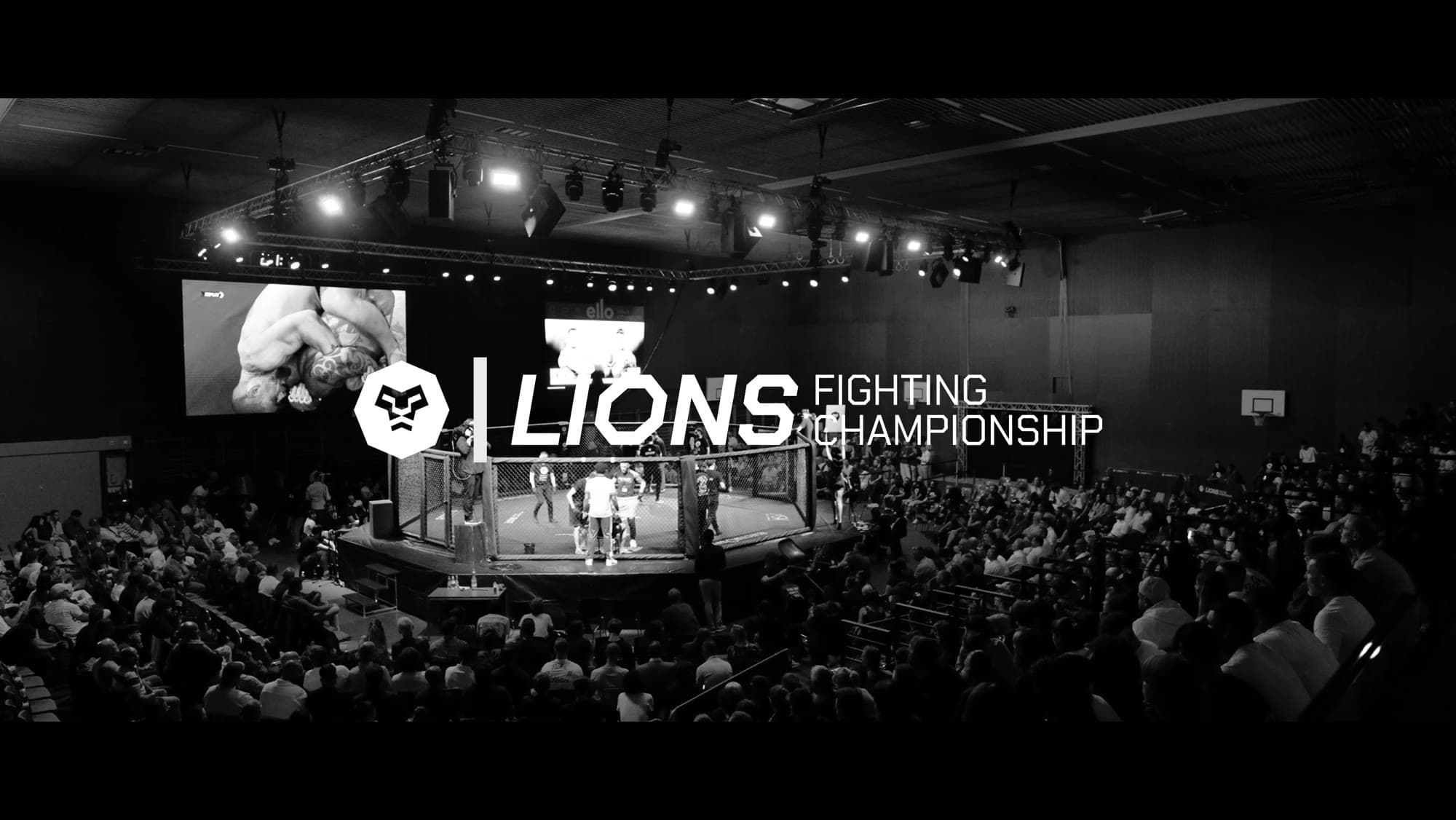 Two MMA events, two unforgettable experiences